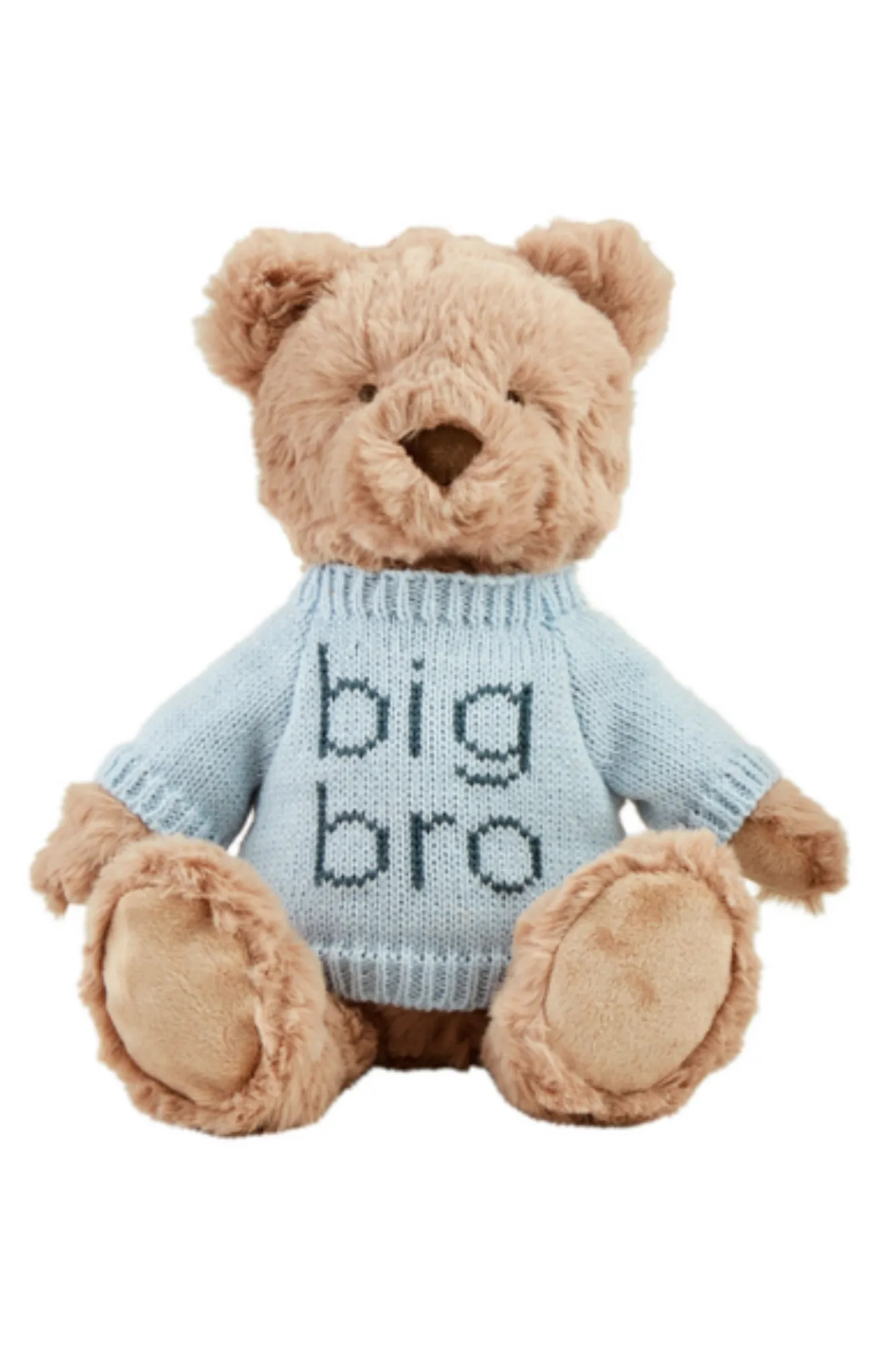 Big Brother Plush Bear