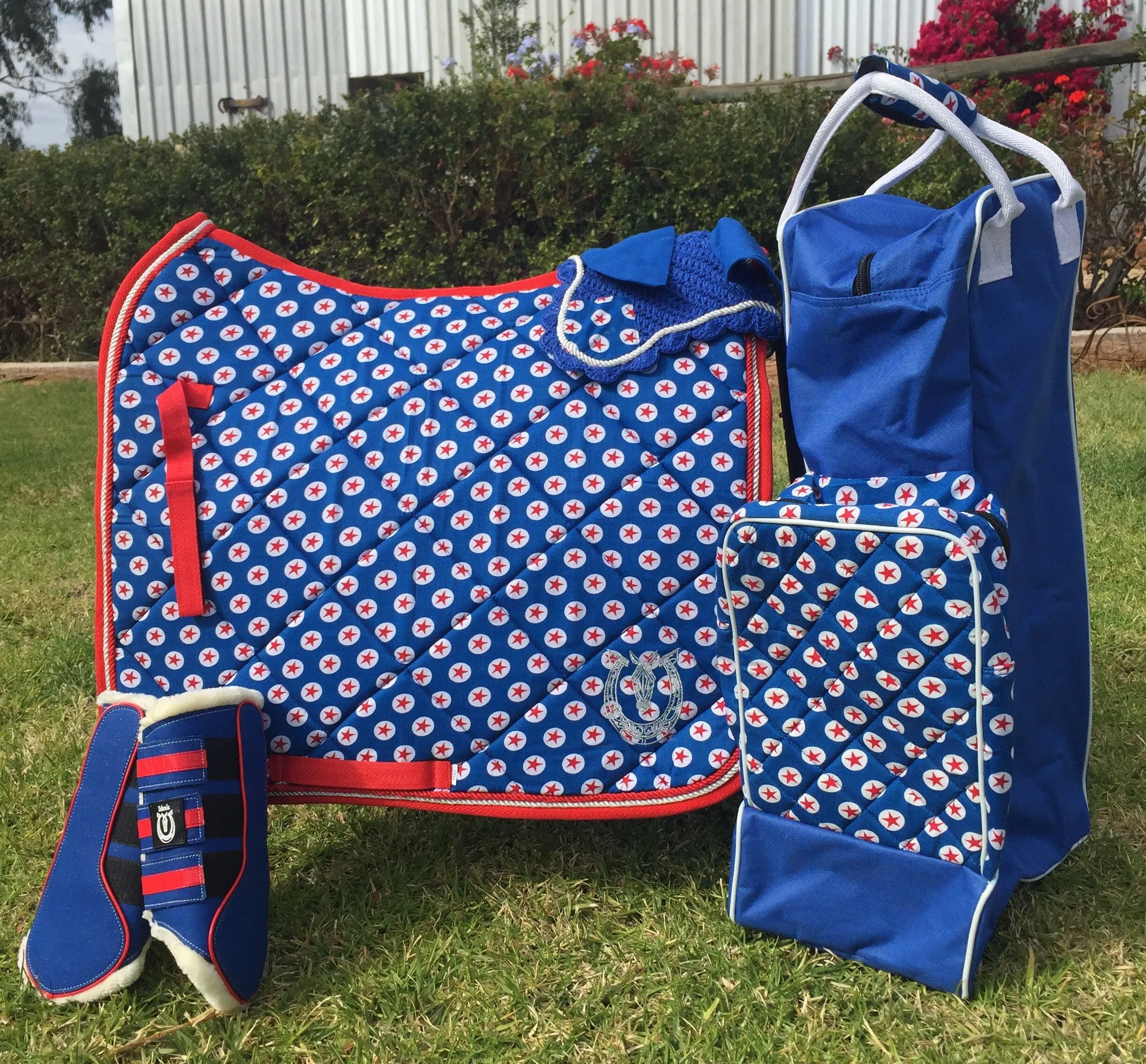 Sparkly royal blue and red boots